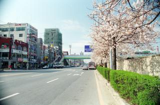 금정역,안양ACC,산본2동,대야동