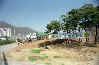 시청앞 꽃길 조성