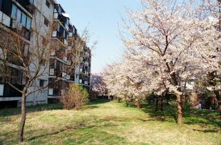 산본 구주공 2단지 촬영