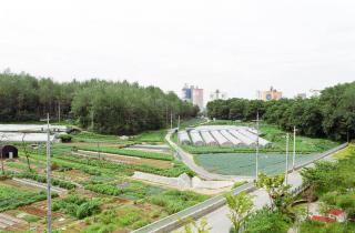 군포-의왕 시경계지역 현장 점검(당정동)