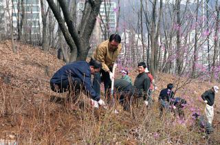 제59회 식목일 나무심기
