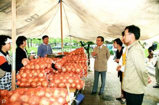 우리농산물 팔아주기