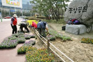 봄맞이 꽃길조성