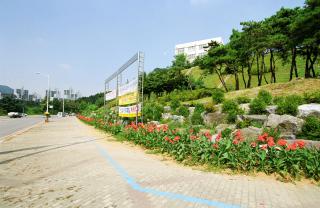 대야동 오금동 칸나꽃길 조성