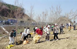 제57회 식목일 행사
