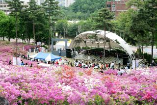 군포태을제(시민참여마당)