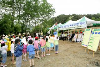 대야동 친환경 모내기 체험