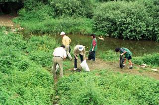 국토대청결운동