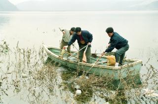 국토대청결운동