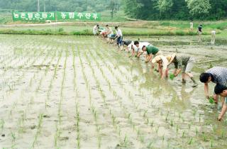 농림수산부 차관 모내기 일손돕기