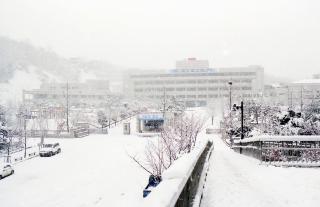 시청사 설경(폭설)