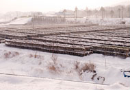 농촌지역 대설 이미지