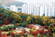 도장공원(광정동) 사진